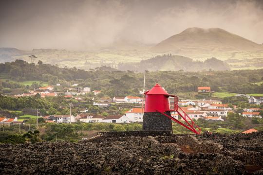 Weinbau Dorf Criação Velha auf Pico. (Azoren)