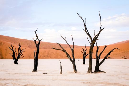 Fotoreise Namibia 2027